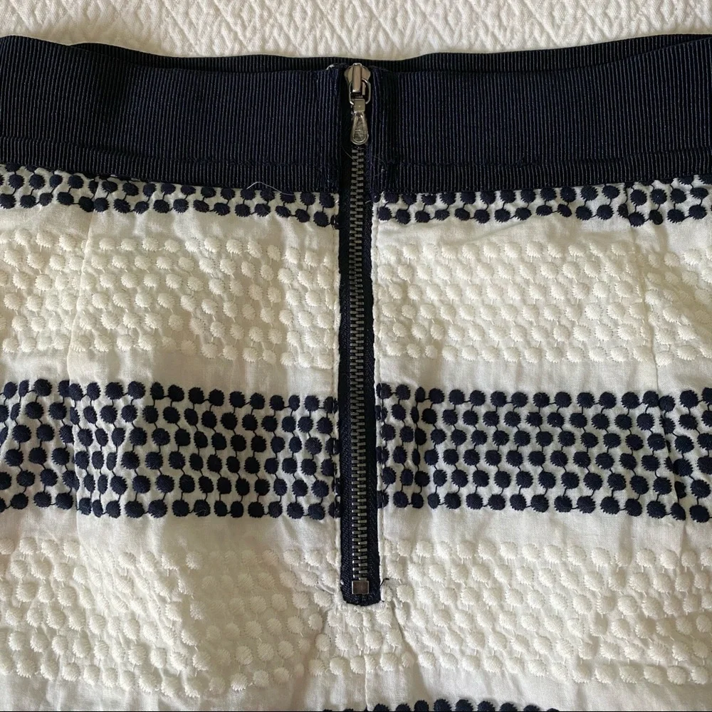 ANN TAYLOR Textural Polka Dot Striped Skirt Petite